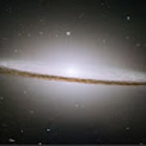 Meet your Posher, Mia